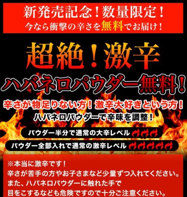 北海道札幌極みスープカレー画像